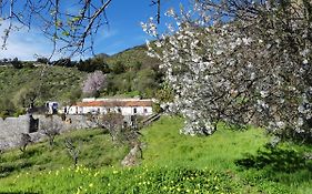 Mountain Hostel Finca La Isa By Rose